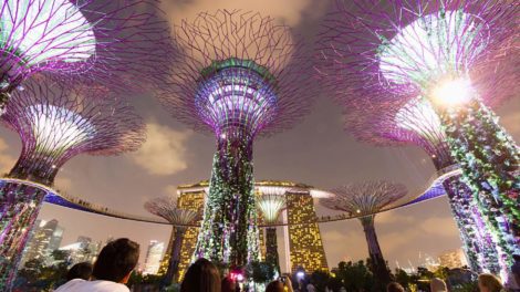 Singapūro botanikos sodas